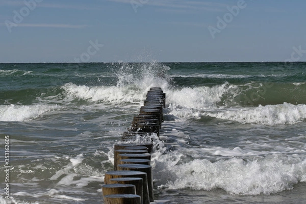 Obraz Baltic Sea vacation at Darß Zingst Fischland