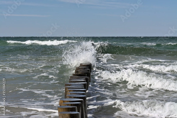 Obraz Baltic Sea vacation at Darß Zingst Fischland