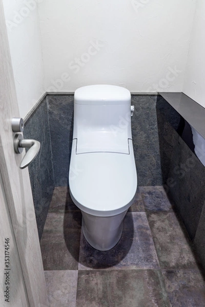 Obraz ドアとトイレ