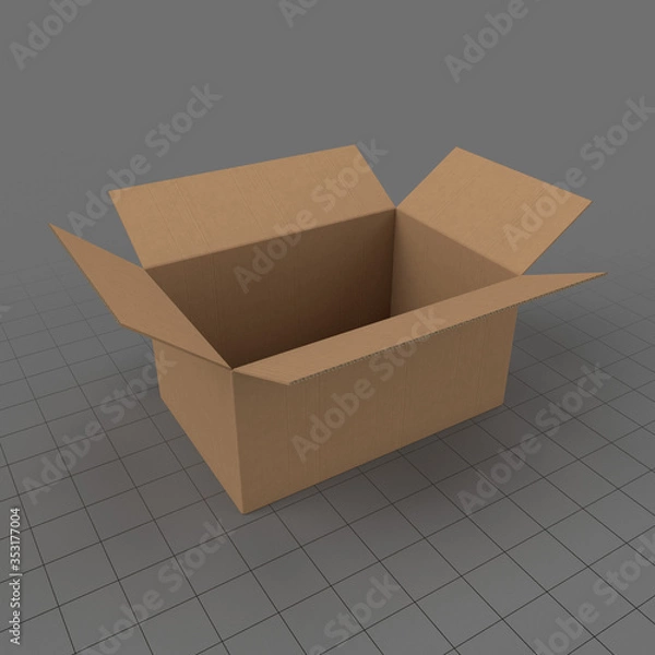 Obraz Otwórz karton 1