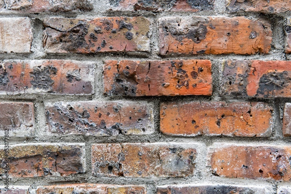 Obraz レンガブロックの壁