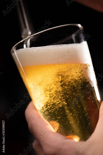 Fototapeta light beer on tap beer is poured into a glass that holds man's hand on a black background, close-up