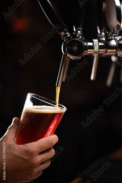 Fototapeta dark beer on tap beer is poured into a glass that holds man's hand on a black background, copy space