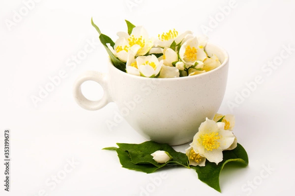 Obraz Jasmine flowers whith cup of tea on white background. Space for text
