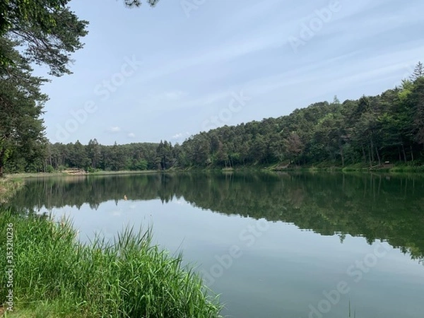 Obraz lake and forest
