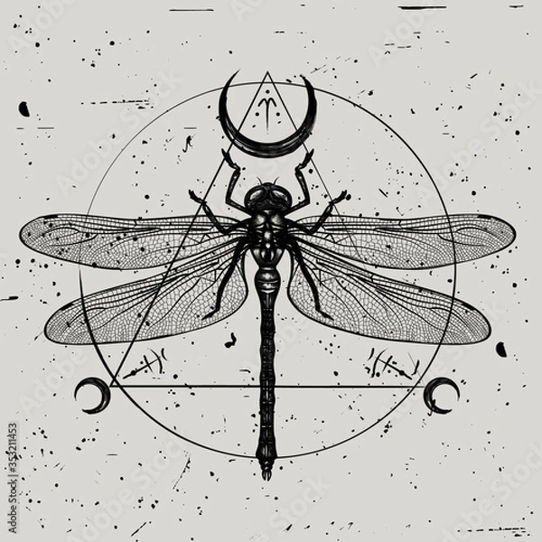 Fototapeta Vector illustration of a hand-drawn dragonfly with sacred geometric symbols on a vintage background. Sketch for tattoo