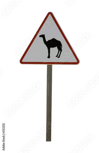 Obraz passage de dromadaire