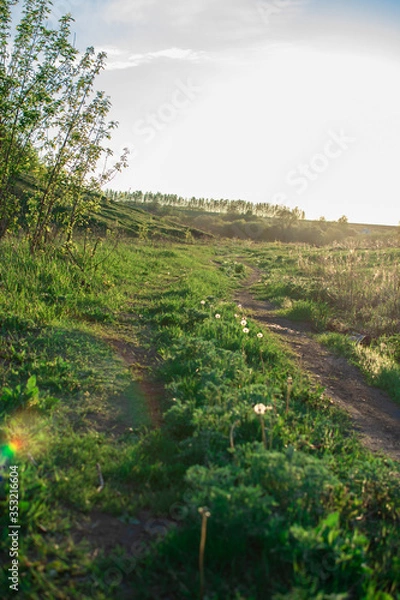 Obraz road in the field