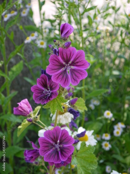 Obraz Blüten im Mai