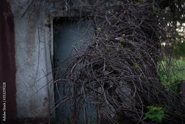 Obraz old abandoned house