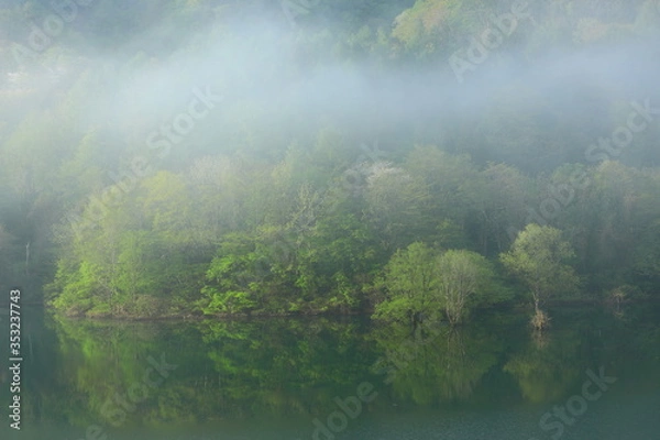 Fototapeta 春の錦秋湖