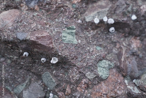 Obraz seaside breccia