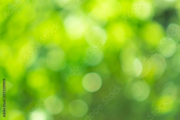 Obraz Bokeh from natural light is green with beautiful colors.