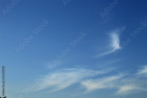 Fototapeta blue sky with clouds