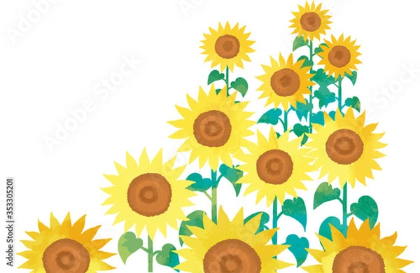 Fototapeta 夏の花ひまわりのベクターイラスト