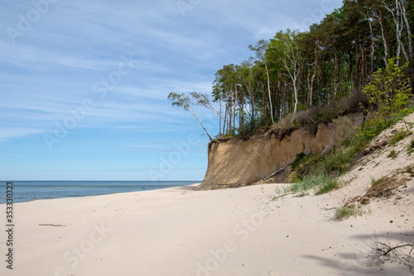 Fototapeta Wolin National Park - Poland Baltic Sea