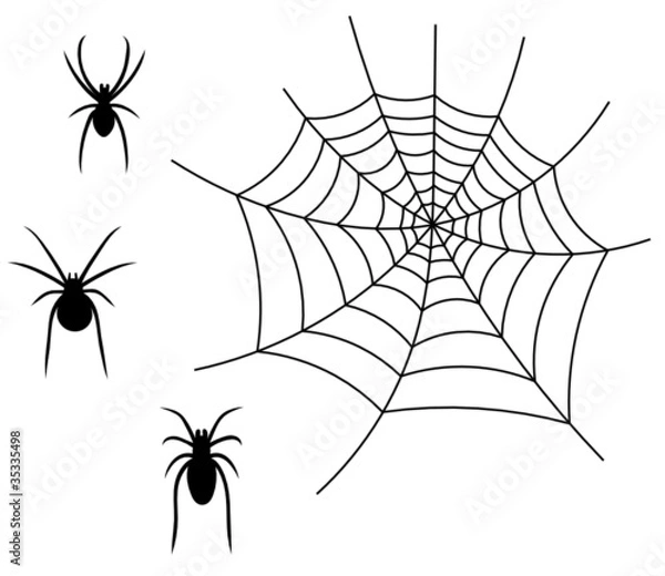 Obraz spinnen mit netz