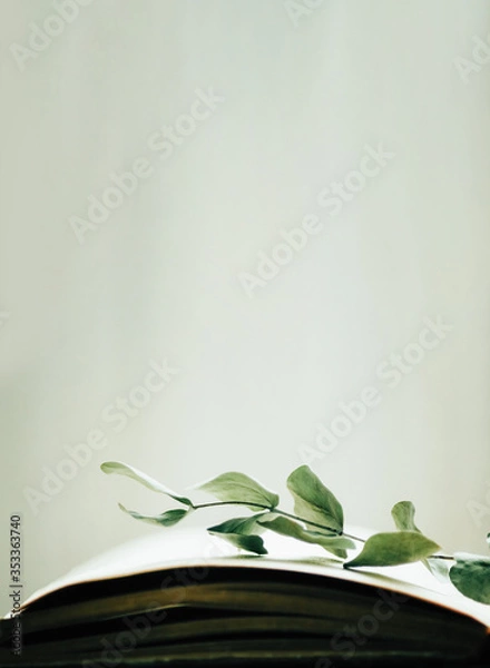 Obraz Opened book with a branch