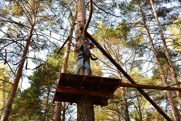 Obraz In a rope park, a beautiful young girl stands at high altitude, on a recreation area, against the backdrop of huge trees and a clear sky, in a pine forest
