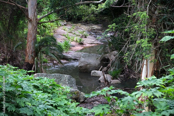 Fototapeta River and rocks
