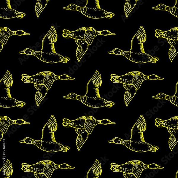 Obraz Mallard duck vector sketch