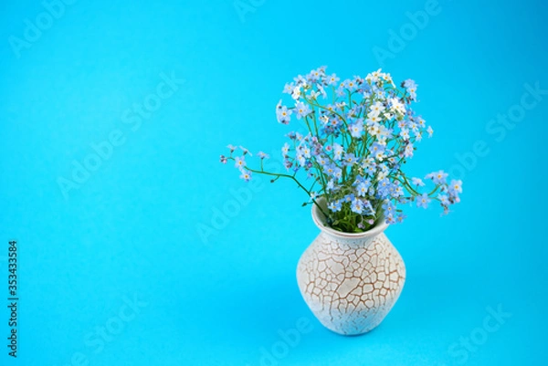 Fototapeta Little blue flowers in vase on colored background