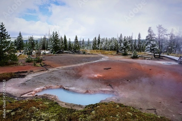 Obraz Hot spring and snow-covered trees in Yellowstone National Park.