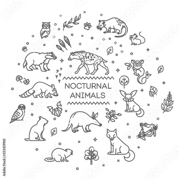 Fototapeta Vector. Set of linear vector nocturnal animals