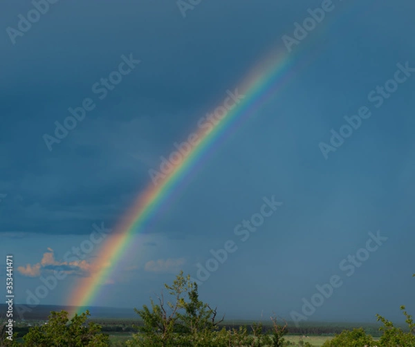 Fototapeta spring real natural rainbow after rain isolated on a blue sky