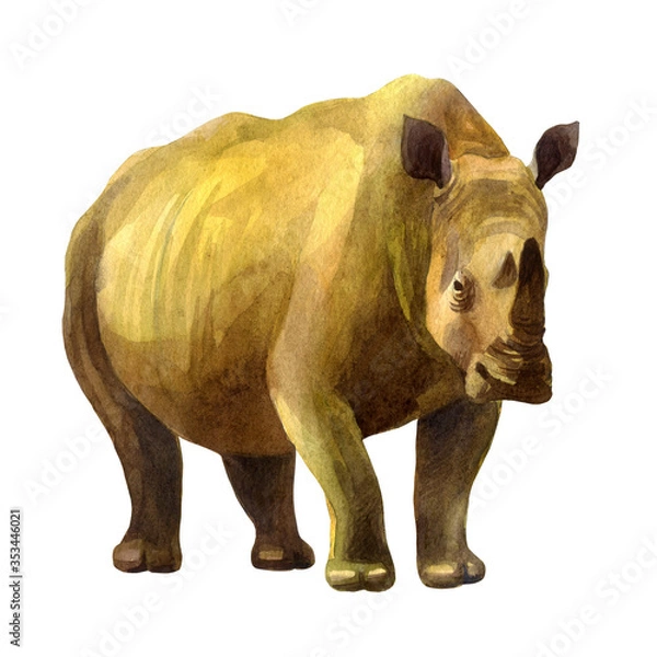 Obraz Watercolor illustration, rhino. Isolated freehand drawing of a rhino on a white background.