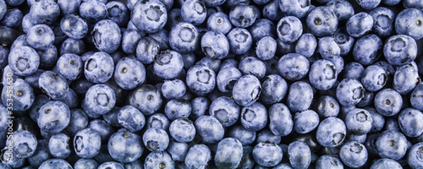 Obraz Blue background blueberries close up