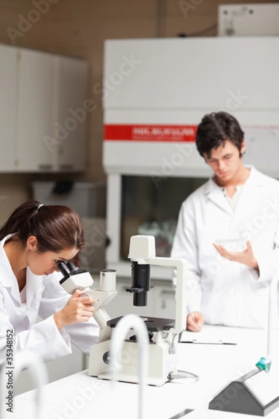 Fototapeta Portrait of young science students making experiments