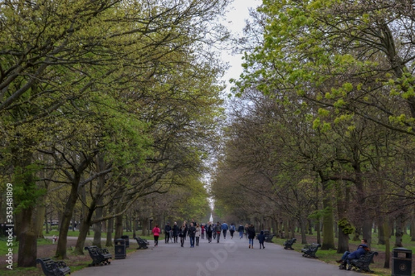 Obraz walk in the park