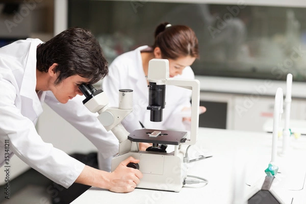 Obraz Serious science students using a microscope