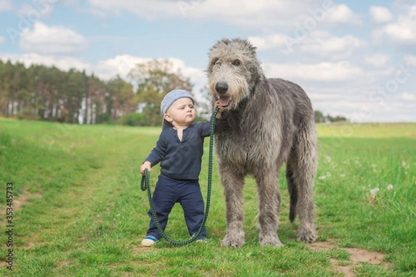 Obraz Little boy walking his dog.