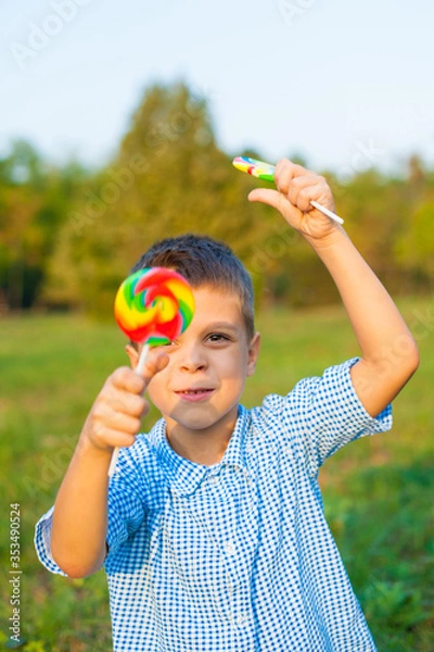 Obraz Joyful boy of 6 years with candy. The cheerful child lies on a green grass in the summer with a bright big candy on a stick.