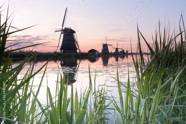 Fototapeta Discover the splendid windmills of Kinderdijk to see how the Dutch have been controlling the waters for over 1000 years. It’s a unique spectacle!