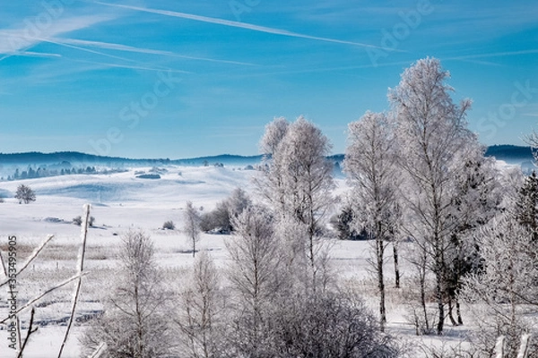 Obraz Winter scenery  with tree coverd in show and blue sky