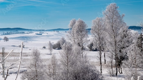 Obraz Winter scenery  with tree coverd in show and blue sky