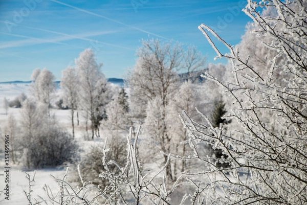 Obraz Winter scenery  with tree coverd in show and blue sky