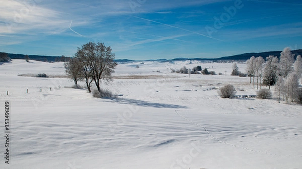 Obraz Winter scenery  with tree coverd in show and blue sky