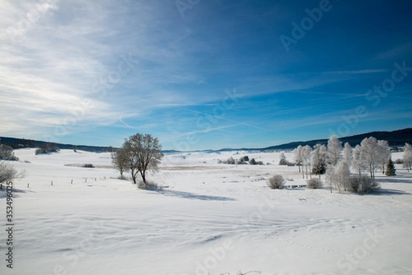 Obraz Winter scenery  with tree coverd in show and blue sky