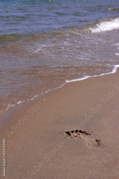 Obraz Footprint on the sand at the beach.