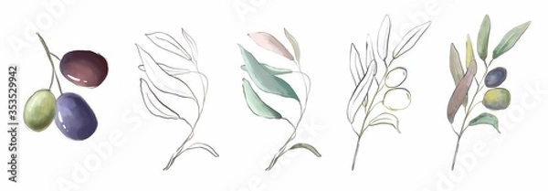 Fototapeta Olive leaves and green and black olives on a branch. isolated on a white background. botany.
