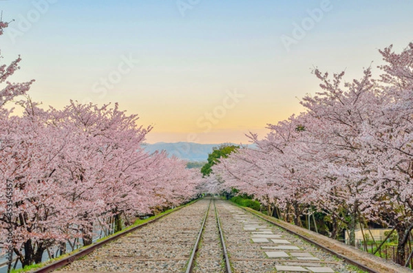 Obraz 京都の蹴上インクライン