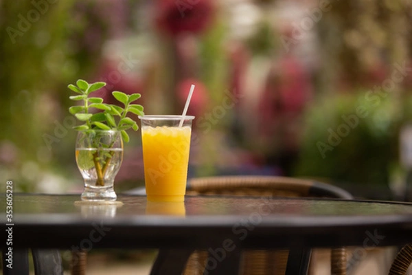 Fototapeta オレンジジュース　植物