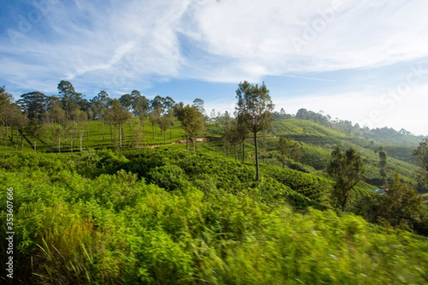 Obraz landscape with green hills and clouds