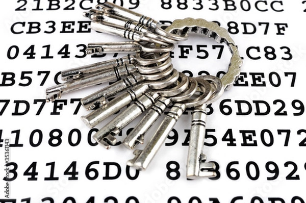 Obraz Bunch of silver keys on a sheet with encrypted data