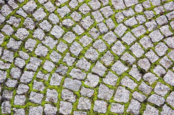 Fototapeta Cobblestone pavement with moss growing between stones