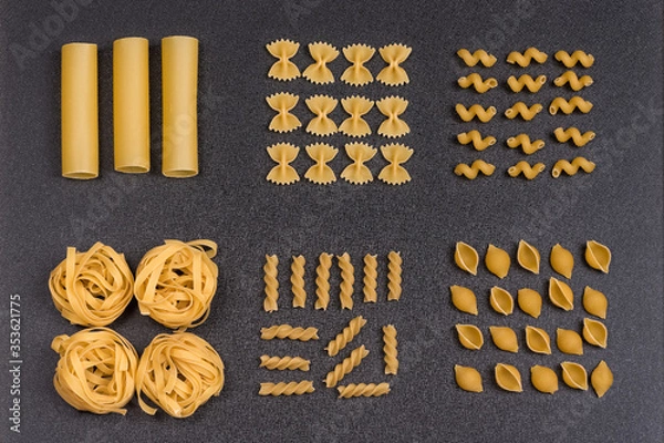 Fototapeta Cannelloni fettuccine conchilioni farfalle bow tie pasta, fusilli and cavatappi. Different types of pasta on grey background.